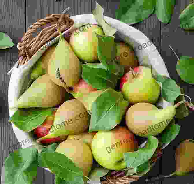 A Bowl Of Apples And Pears The Body Shape Solution To Weight Loss And Wellness: The Apples Pears Approach To Losing Weight Living Longer And Feeling Healthier