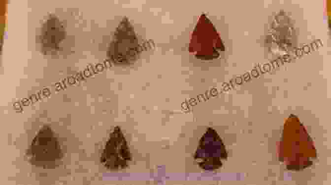 A Collection Of Arrowheads, Each With A Unique Shape And Craftsmanship, Showcasing The Skill And Ingenuity Of Ancient Cultures Rocks Fossils Arrowheads (Take Along Guides)