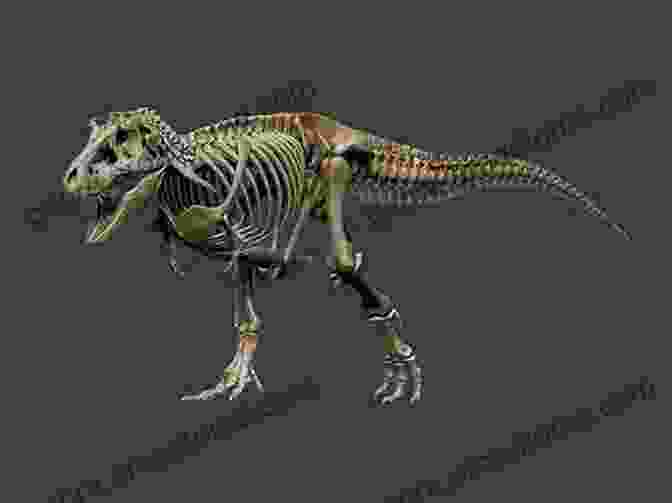 A Complete Skeleton Of A Tyrannosaurus Rex, A Mighty Predator Of The Cretaceous Period Paleontology (A True Book: Earth Science): The Study Of Prehistoric Life (A True (Relaunch))