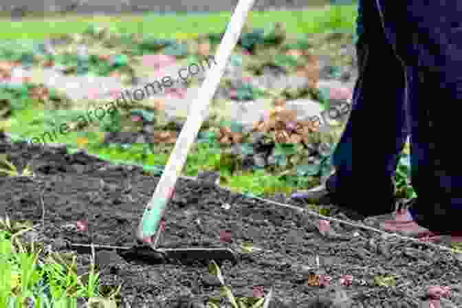 A Gardener Cleaning Up The Garden In November The Gardening Calendar: What To Do Each Month In The Garden