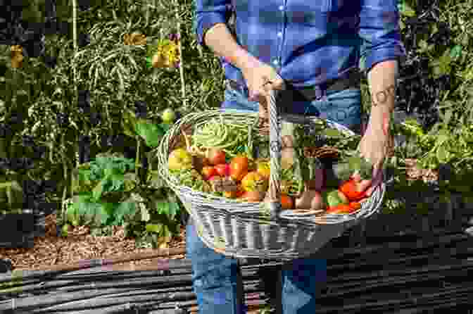 A Gardener Harvesting Vegetables In June The Gardening Calendar: What To Do Each Month In The Garden