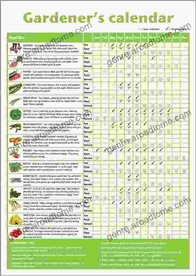 A Gardener Planning For Next Season In December The Gardening Calendar: What To Do Each Month In The Garden