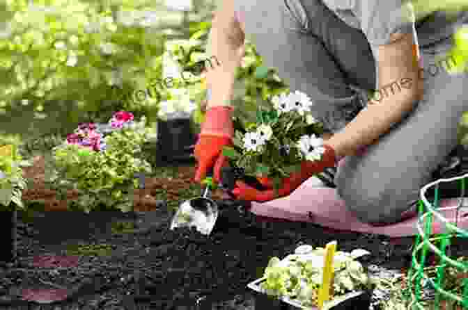 A Gardener Planting Annuals In April The Gardening Calendar: What To Do Each Month In The Garden