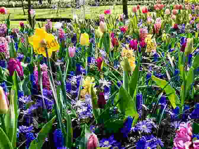 A Gardener Planting Spring Flowering Bulbs In October The Gardening Calendar: What To Do Each Month In The Garden