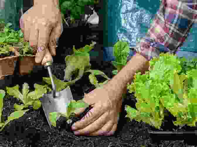 A Gardener Transplanting Seedlings In March The Gardening Calendar: What To Do Each Month In The Garden