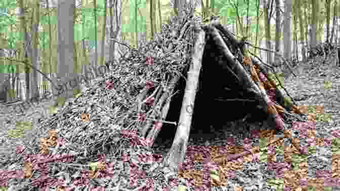 A Group Of North Star Kids Building A Shelter In The Wilderness. Twisting Trails: North Star Kids Of The Fur Trade Era