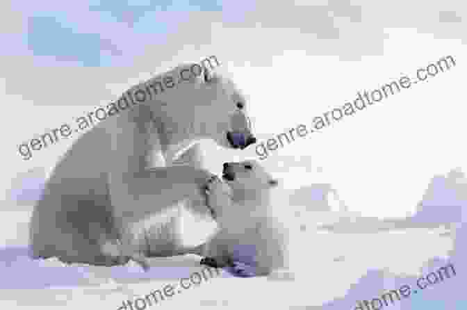 A Polar Bear And Its Cub Stand Amidst The Icy Arctic Landscape, Symbolizing The Vulnerability Of Arctic Wildlife To Pollution And Climate Change. Silent Snow: The Slow Poisoning Of The Arctic