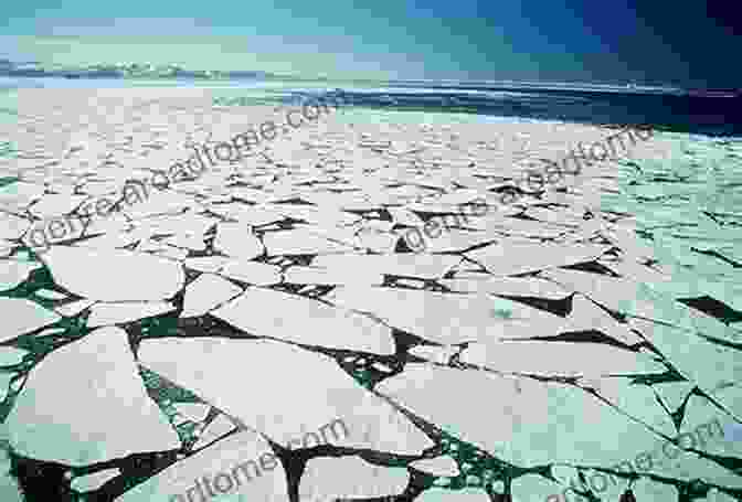 A Vast Expanse Of Arctic Sea Ice, Showing Large Cracks And Areas Of Open Water, Illustrating The Impact Of Climate Change And Sea Ice Loss. Silent Snow: The Slow Poisoning Of The Arctic