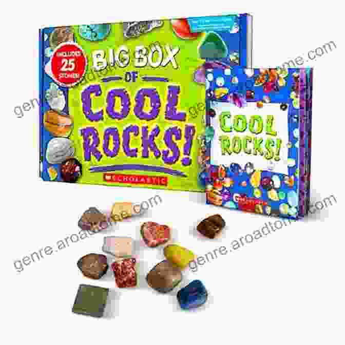 Box Of Rocks Book Box Of Rocks: Find Understand Collect