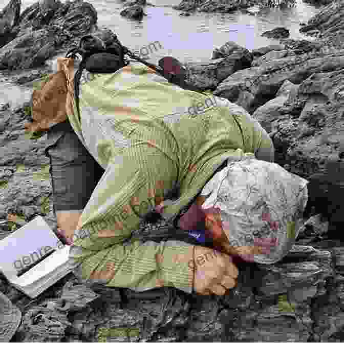 Close Up Of A Geologist Using A Hand Lens To Examine A Mineral Sample To Mineralogy: Easy Course For Understanding Mineralogy (Earth Sciences)