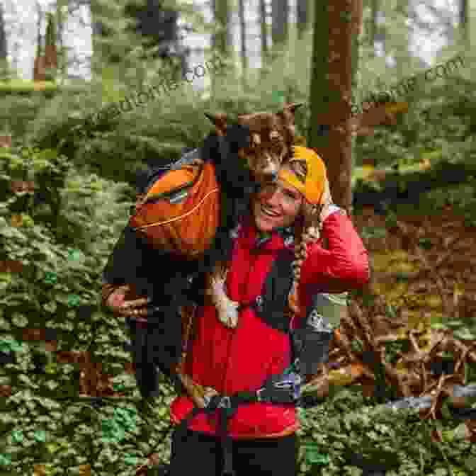 Clover The Dog Exploring The Pacific Northwest The Northwest Alphabet With Clover