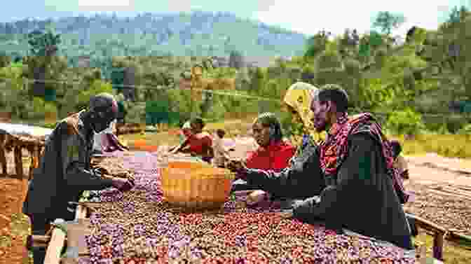 Coffee Beans In Ethiopia, The Birthplace Of Coffee Wine: A Social And Cultural History Of The Drink That Changed Our Lives (The Infinite Ideas Classic Win)