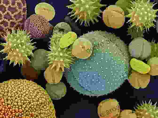 Corn Pollen Grains Pollen: Discover Pictures And Facts About Pollen For Kids