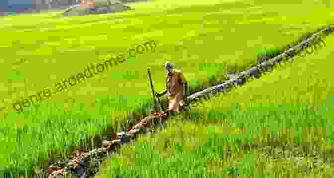 Daoist Farmers Cultivating Land In Harmony With Nature Daoist China: Governance Economy Culture