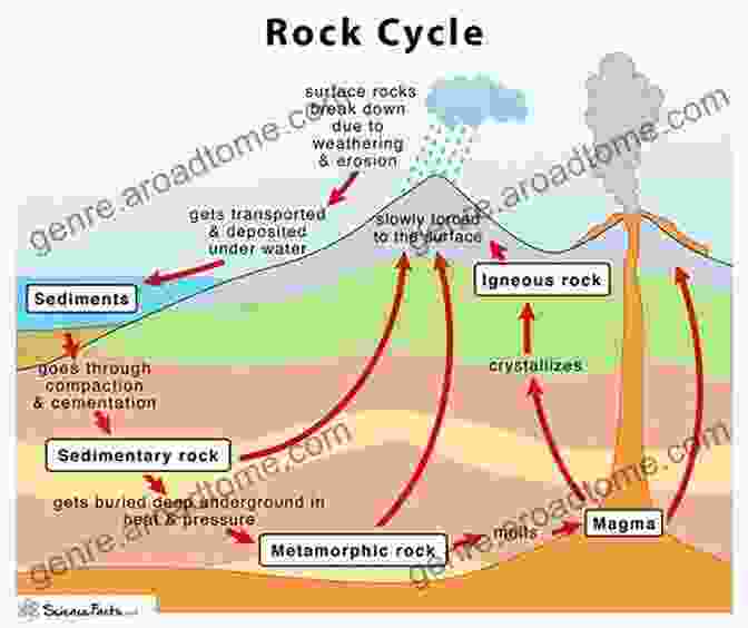 Diagram Illustrating The Processes Involved In Mineral Formation To Mineralogy: Easy Course For Understanding Mineralogy (Earth Sciences)