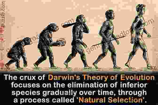 Evolution's Achilles Heels: Exposing The Flaws Of Evolutionary Theory Evolution S Achilles Heels