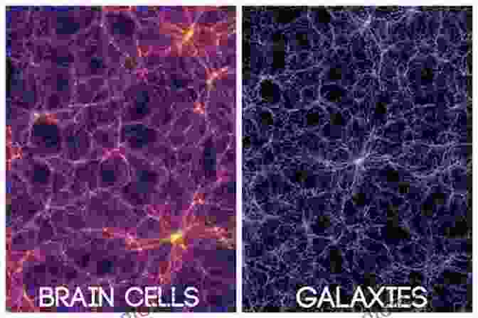 From Cells To Galaxies: Expanding Physics Book Cover Featuring A Vibrant Illustration Of A Microscopic Cell And A Distant Galaxy, Representing The Interconnectedness Of The Cosmos. Inverse Imaging With Poisson Data: From Cells To Galaxies (IOP Expanding Physics)