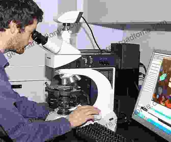 Geologist Using A Microscope To Study Mineral Samples To Mineralogy: Easy Course For Understanding Mineralogy (Earth Sciences)