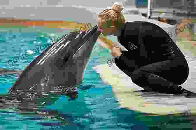 Human Interacting With A Dolphin Dolphins: Voices In The Ocean