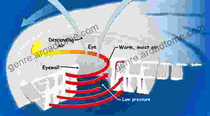 Hurricanes Bel, Surrounded By Admiring Colleagues Spinning Wind And Water: Hurricanes (Bel The Weather Girl)