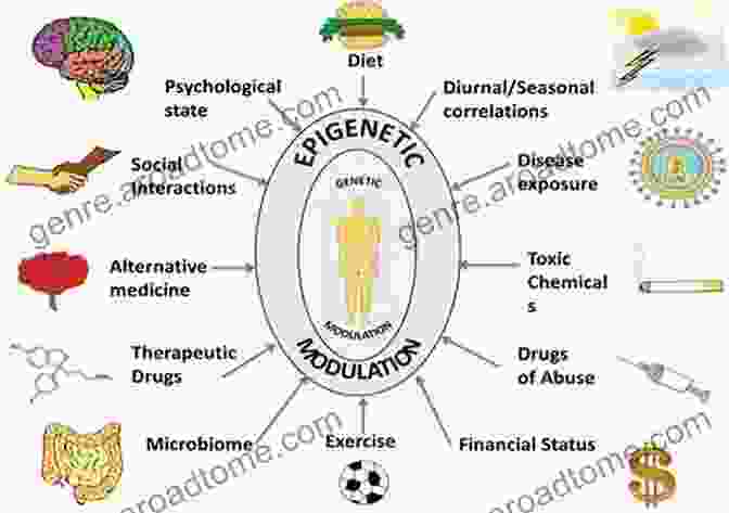 Image Depicting The Biological And Environmental Factors Influencing The Aging Process Asafoetida A Herb With Health: Guide For You To Live Longer: Asafoetida Herb