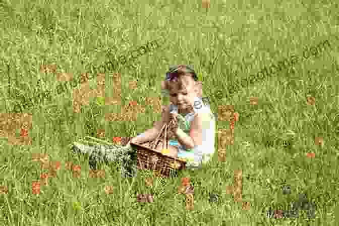 Llewellyn Little Sitting In A Field Of Wildflowers, Dreaming Of Magical Worlds Beyond Llewellyn S Little Of Dreams (Llewellyn S Little 3)