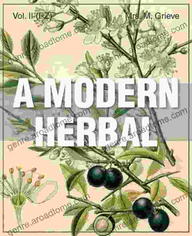 Modern Herbal Vol II Book Cover A Modern Herbal Vol II