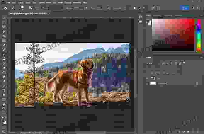 Photoshop Interface Photoshop At Home: How To Be Professional In Photoshop