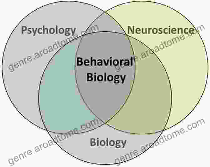 Recent Developments In Behavioral Biology Alzheimer S And Parkinson S Diseases: Recent Developments (Advances In Behavioral Biology 44)