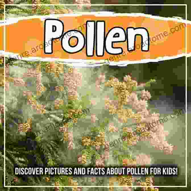 Rose Pollen Grains Pollen: Discover Pictures And Facts About Pollen For Kids