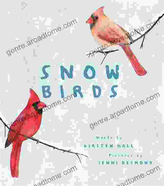 Snow Birds By Kirsten Hall: A Novel Of Love, Loss, And Redemption. Snow Birds Kirsten Hall