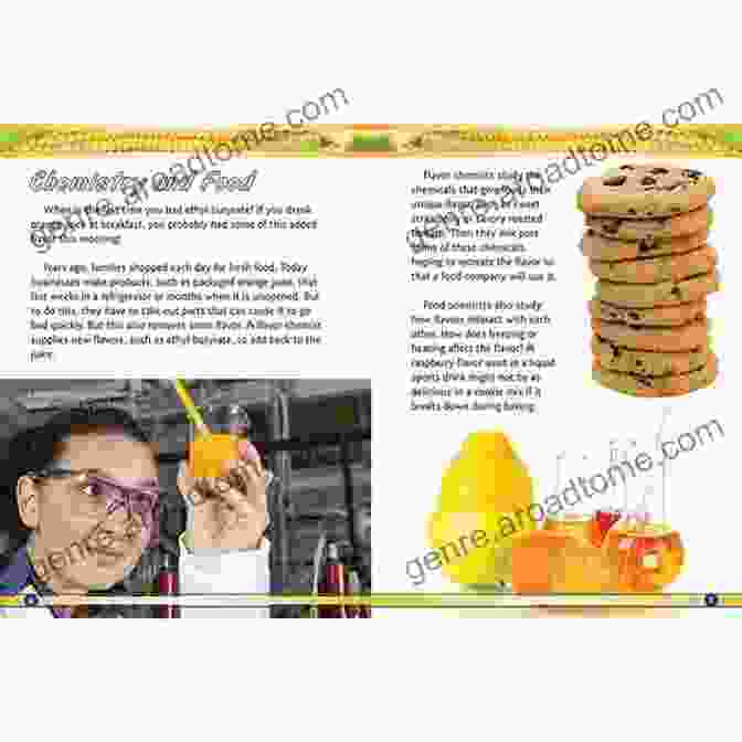 STEM Jobs In Food And Nutrition Book Cover STEM Jobs In Food And Nutrition (STEM Jobs You Ll Love)