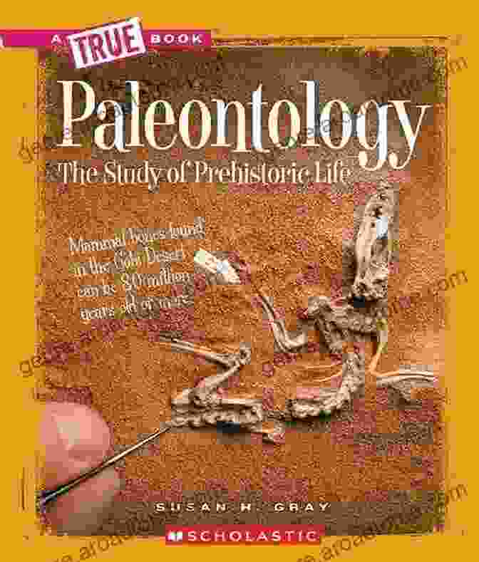 The Cover Of Paleontology (A True Book: Earth Science): The Study Of Prehistoric Life (A True (Relaunch))