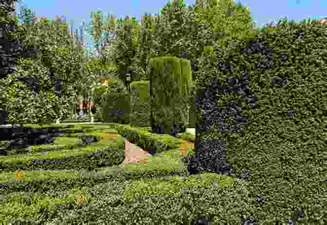 The Lush Greenery And Diverse Plant Life In Real Jardín Botánico, Madrid's Botanical Garden. Madrid Travel Guide 2024 : Top 20 Local Places You Can T Miss In Madrid