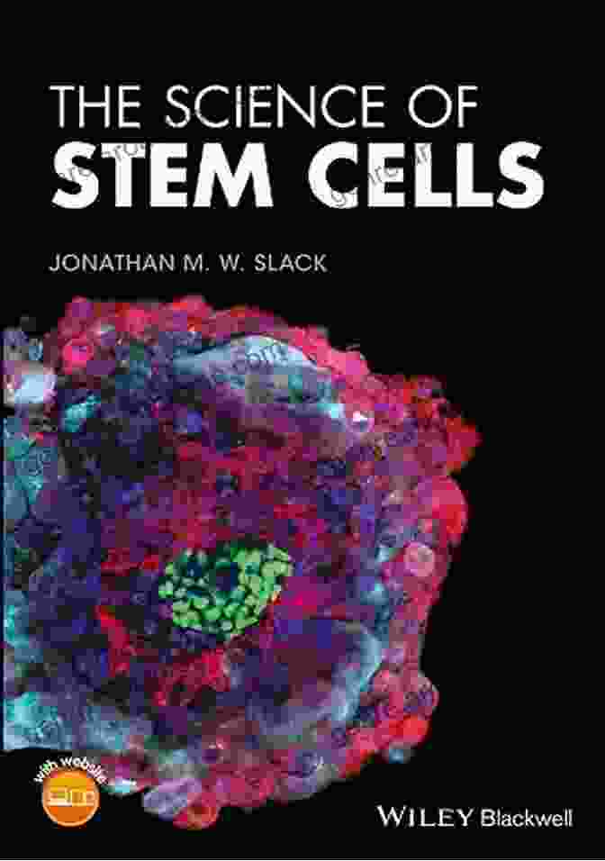 The Stem Cell Cure Book Cover The Stem Cell Cure: Remake Your Body And Mind