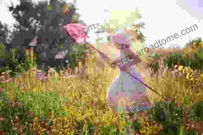 The Valentine Children Laughing And Chasing Butterflies In A Field Of Wildflowers The Valentine Children S Summer Adventures