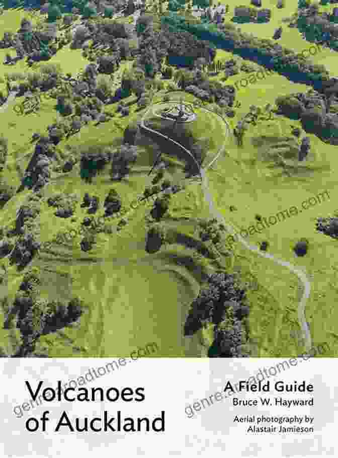 Volcanoes Of Auckland Field Guide Cover Volcanoes Of Auckland: A Field Guide