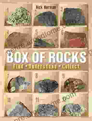 Box Of Rocks: Find Understand Collect