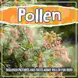 Pollen: Discover Pictures And Facts About Pollen For Kids