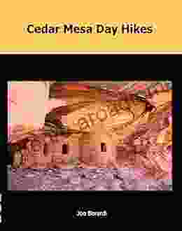 Cedar Mesa Day Hikes