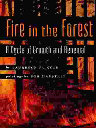 Fire In The Forest: A Cycle Of Growth And Renewal