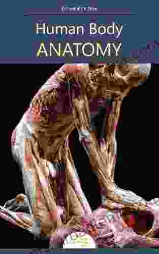 Human Body Anatomy: By Knowledge Flow