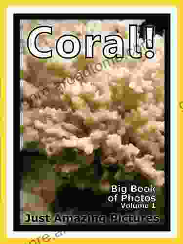 Just Coral Photos Big of Photographs Pictures of Underwater Sea Coral Vol 1