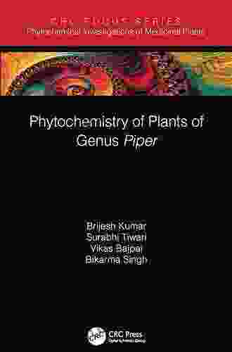 Phytochemistry of Plants of Genus Piper (Phytochemical Investigations of Medicinal Plants)