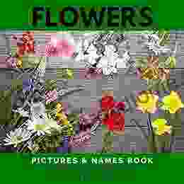 Flowers Pictures Names With Fun Facts For Kids: Read Aloud Fun Flower Picture For Kids Children Love The Information About Flowers With Quick Facts Images Names