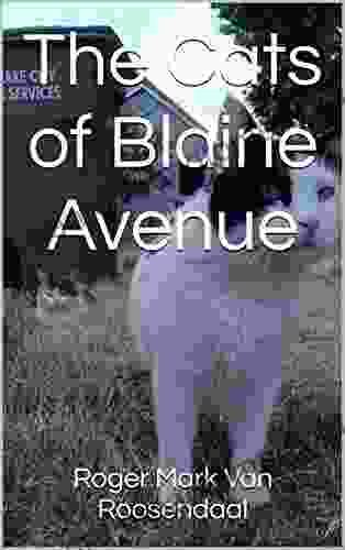 The Cats Of Blaine Avenue