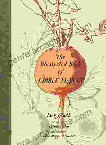 The Illustrated Of Edible Plants