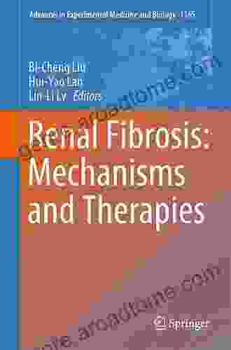 Renal Fibrosis: Mechanisms And Therapies (Advances In Experimental Medicine And Biology 1165)