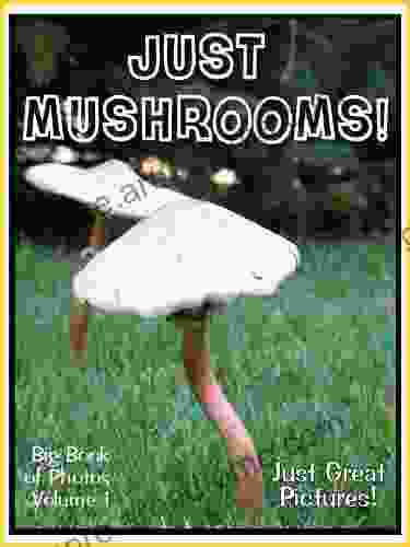 Just Mushroom Photos Big Of Photographs Pictures Of Mushrooms Vol 1