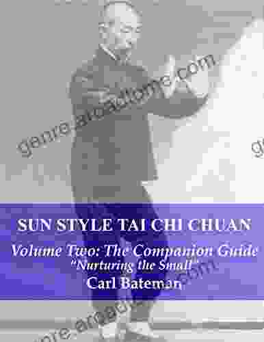 Sun Style Tai Chi Chuan: Volume Two: The Companion Guide